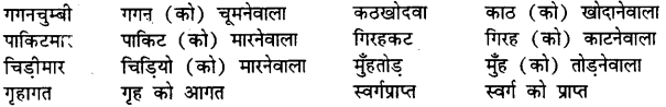 Bihar Board Class 12th Hindi व्याकरण समास 5