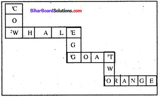 Bihar Board Class 6 English Book Solutions Chapter 9 Discrimination 1