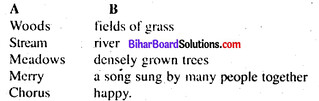 Laughing Song Poem Questions And Answers Bihar Board Chapter 13