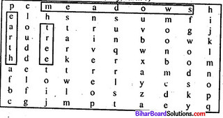Laughing Song Question Answer Bihar Board Chapter 13