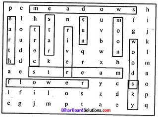Questions And Answers On Poem Laughing Song Bihar Board Chapter 13