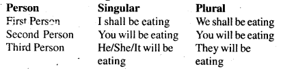Bihar Board Class 6 English Grammar Tenses 12