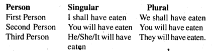 Bihar Board Class 6 English Grammar Tenses 13