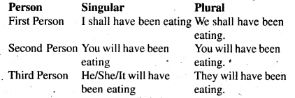 Bihar Board Class 6 English Grammar Tenses 14