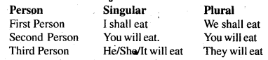 Bihar Board Class 6 English Grammar Tenses 8