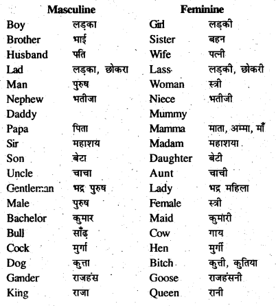 Bihar Board Class 7 English Grammar Gender and Person 1