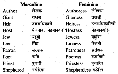 Bihar Board Class 7 English Grammar Gender and Person 3