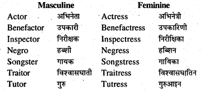 Bihar Board Class 7 English Grammar Gender and Person 4