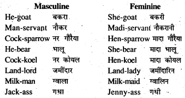 Bihar Board Class 7 English Grammar Gender and Person 6