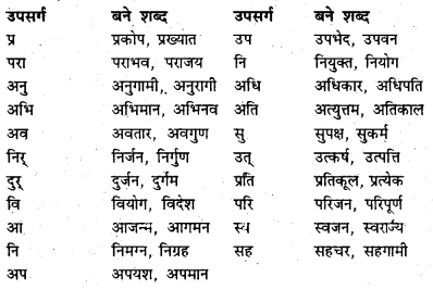 Bihar Board Class 7 Hindi व्याकरण Grammar 14