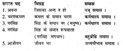 Bihar Board Class 7 Hindi व्याकरण Grammar 20