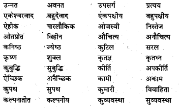Bihar Board Class 7 Hindi व्याकरण Grammar 36