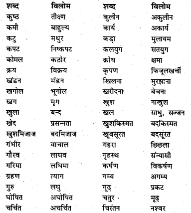 Bihar Board Class 7 Hindi व्याकरण Grammar 37