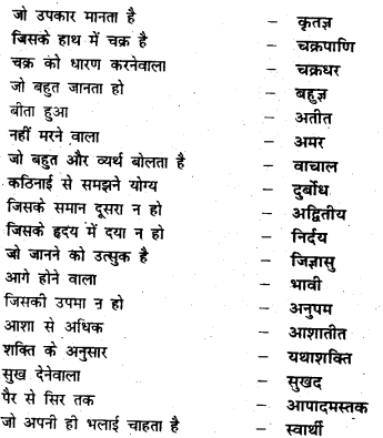Bihar Board Class 7 Hindi व्याकरण Grammar 49