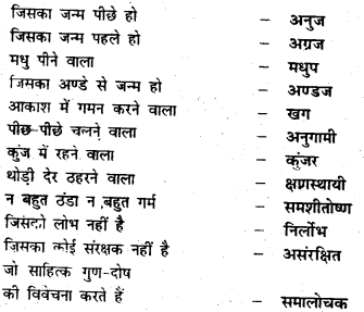 Bihar Board Class 7 Hindi व्याकरण Grammar 51