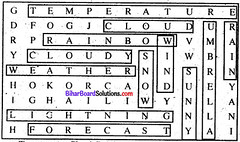 Bihar Board Class 8 English Book Solutions Chapter 1 I Wonder 4