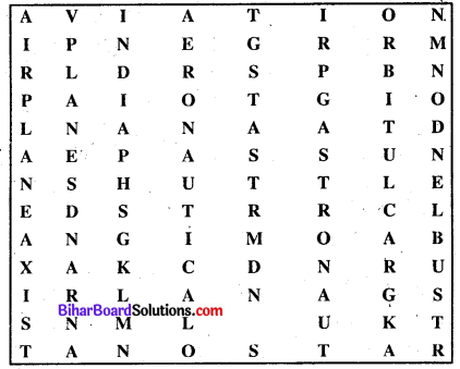 She Lived Her Dream Bihar Board Class 8