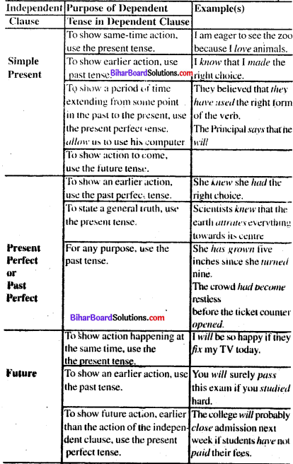 Bihar Board Class 8 English Book Solutions Chapter 16 Harvesting Rain 3