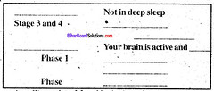 Sleep Class 8 Bihar Board Chapter 2
