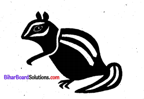 Bihar Board Class 8 English Book Solutions Chapter 7 The Mountain and The Squirrel 1