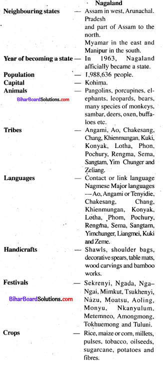 Bihar Board Class 8 English Solution