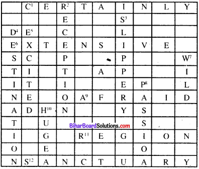 Bihar Board Class 8 English Book Solutions Valmiki Nagar 1