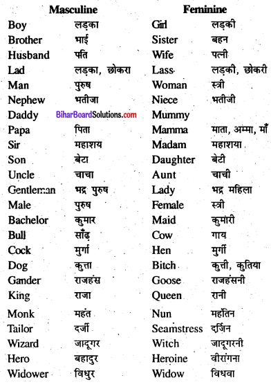 Bihar Board Class 8 English Grammar Gender and Person 1