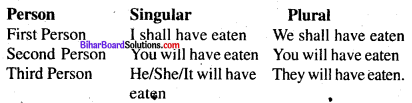 Bihar Board Class 8 English Grammar Tenses 10