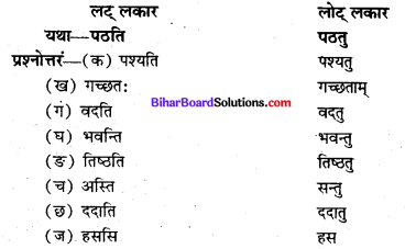 Bihar Board Class 8 Sanskrit Solutions Chapter 4 प्रहेलिका 3