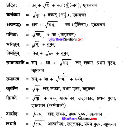 Bihar Board Class 8 Sanskrit Solutions Chapter 5 सामाजिकं कार्यम् 1