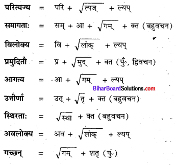 Bihar Board Class 8 Sanskrit Solutions Chapter 6 रघुदासस्य लोकबुद्धि 1