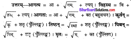 Bihar Board Class 8 Sanskrit Solutions Chapter 6 रघुदासस्य लोकबुद्धि 3