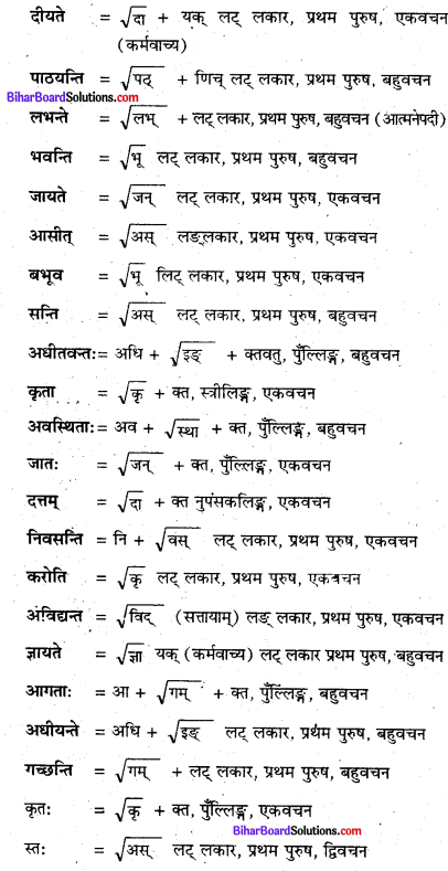 Bihar Board Class 8 Sanskrit Solutions Chapter 7 प्राचीना विश्वविद्यालय 1