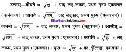 Bihar Board Class 8 Sanskrit Solutions Chapter 7 प्राचीना विश्वविद्यालय 5