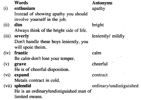 Bihar Board 12th English Book 50 Marks Solutions Chapter 2 With The Photographer 2