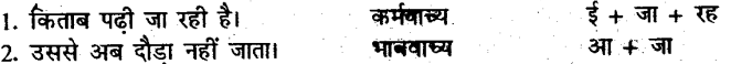 Bihar Board Class 10 Hindi व्याकरण क्रिया-भेद - 3