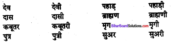 Bihar Board Class 10 Hindi व्याकरण लिंग-2