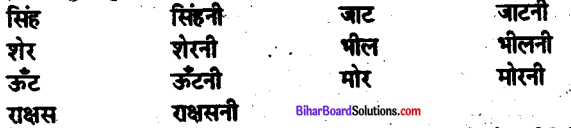Bihar Board Class 10 Hindi व्याकरण लिंग-7