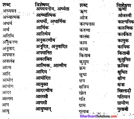 Bihar Board Class 10 Hindi व्याकरण विशेषण और क्रिया विशेषण - 4