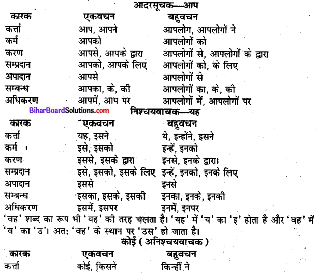 Bihar Board Class 10 Hindi व्याकरण सर्वनाम-3