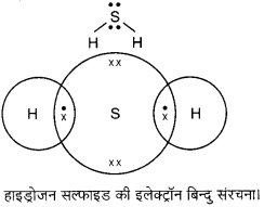 Bihar Board Class 10 Science Solutions Chapter 4 कार्बन एवं इसके यौगिक