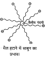 Bihar Board Class 10 Science Solutions Chapter 4 कार्बन एवं इसके यौगिक