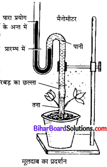 Bihar Board Class 10 Science Solutions Chapter 6 जैव प्रक्रम