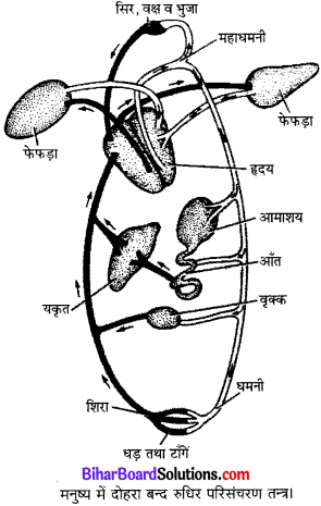 Bihar Board Class 10 Science Solutions Chapter 6 जैव प्रक्रम 