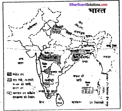 Bihar Board Class 11 Geography Solutions Chapter 5 प्राकृतिक वनस्पति