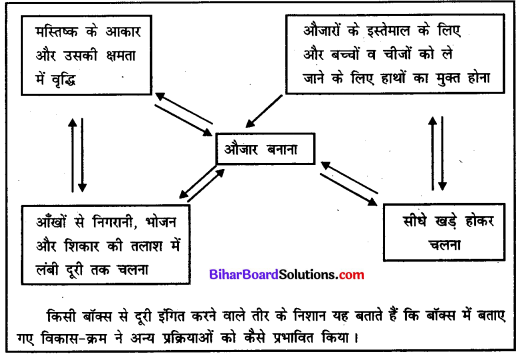 Bihar Board Class 11 History Solutions Chapter 1 समय की शुरुआत से