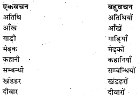 Bihar Board Class 6 Hindi Solutions Chapter 13 दादा-दादी के साथ 4