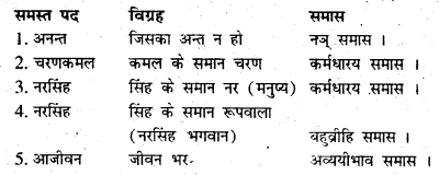 Bihar Board Class 6 Hindi व्याकरण Grammar 20