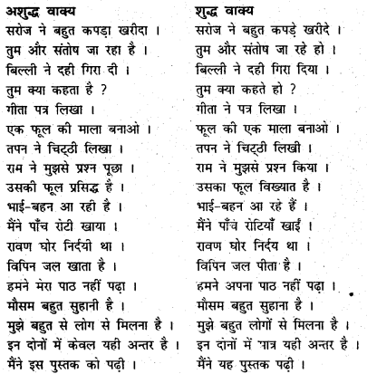 Bihar Board Class 6 Hindi व्याकरण Grammar 30