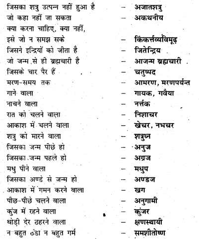 Bihar Board Class 6 Hindi व्याकरण Grammar 49
